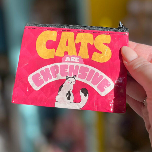 Cats are expensive
