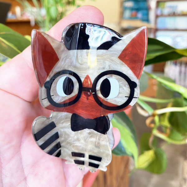Brillenkatze