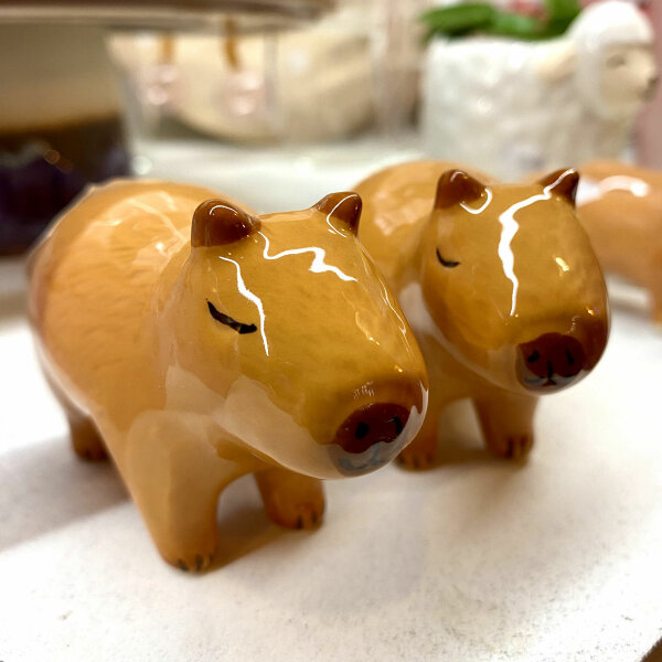 Capybara Salz und Pfeffer