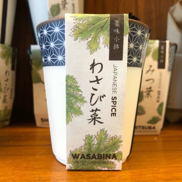 Wasabina
