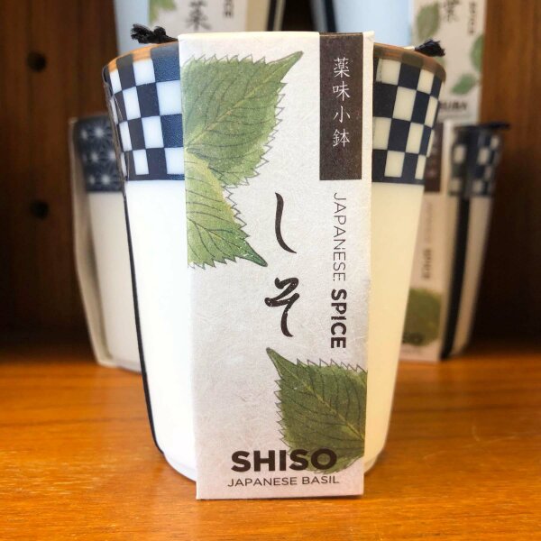 Shiso