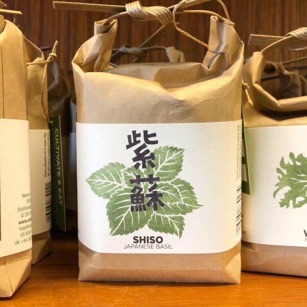 Shiso