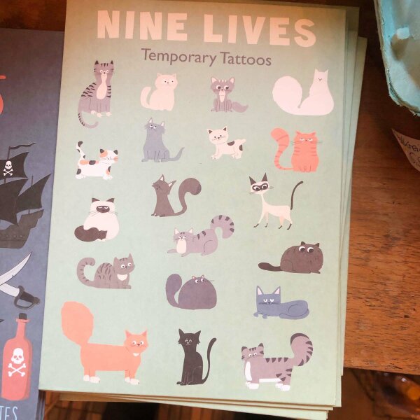 Katzen